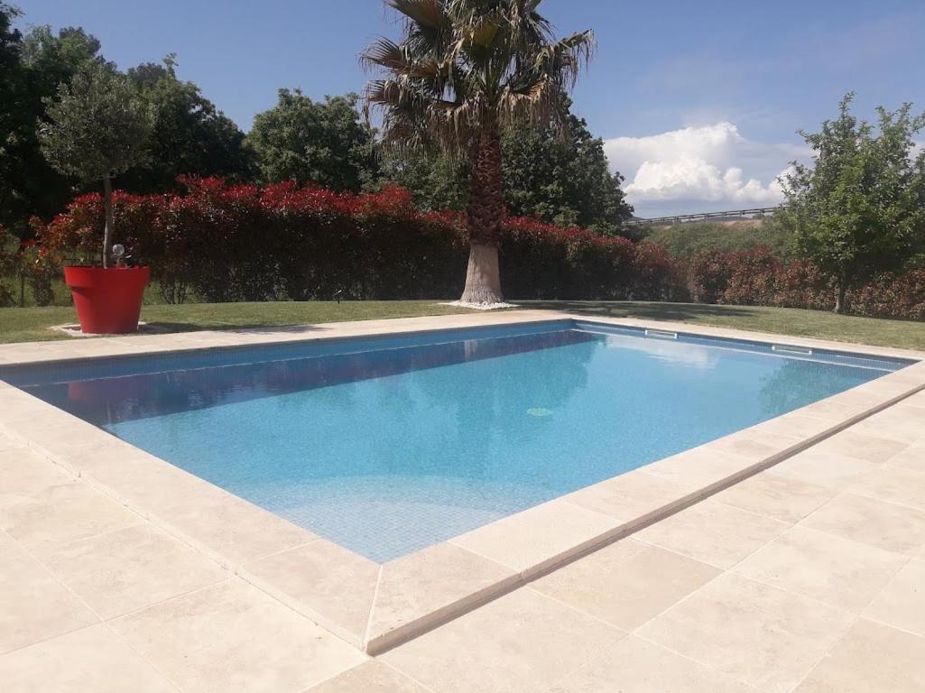Villa Les Palmiers En Provence Besse-sur-Issole Exterior photo