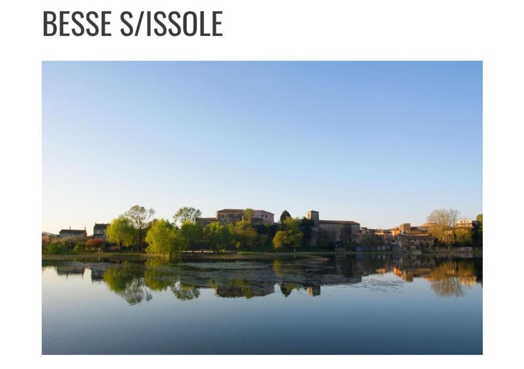 Villa Les Palmiers En Provence Besse-sur-Issole Exterior photo